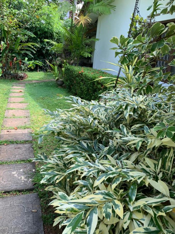 Tranquil Private Villa Near Bentota Beach Kültér fotó