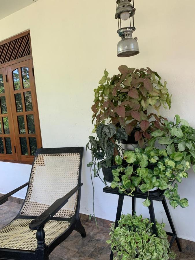 Tranquil Private Villa Near Bentota Beach Kültér fotó