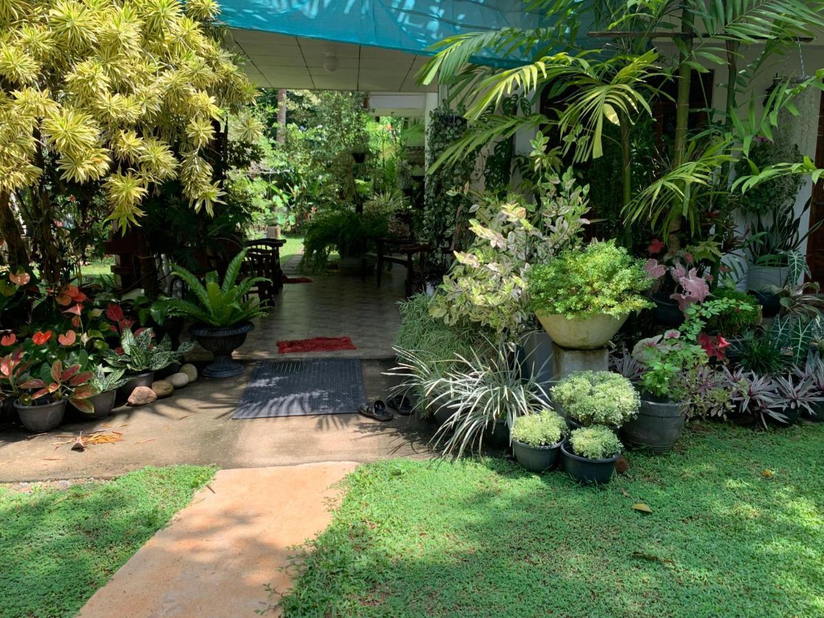 Tranquil Private Villa Near Bentota Beach Kültér fotó