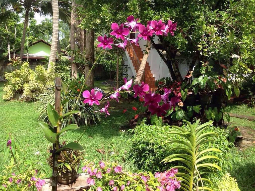 Tranquil Private Villa Near Bentota Beach Kültér fotó